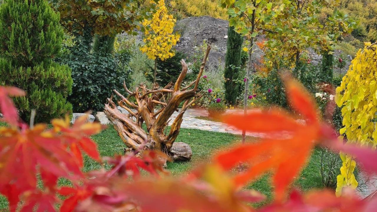 Dibra Park Agrotourism 호텔 Peshkopi 외부 사진